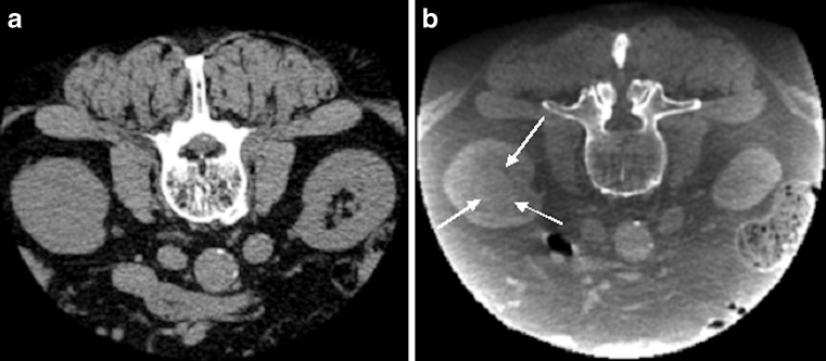 Fig. 1a, b