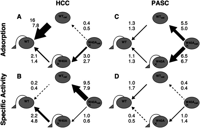 SCHEME 1.