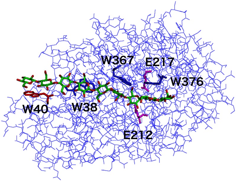 FIGURE 1.