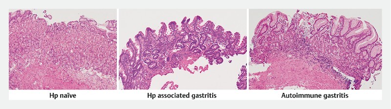 Fig. 4 