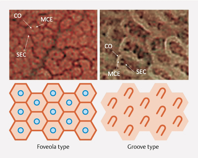 Fig. 2 