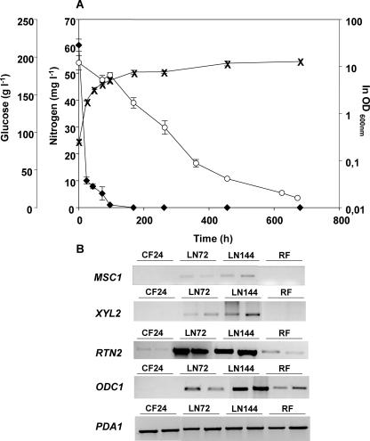 FIG. 3.