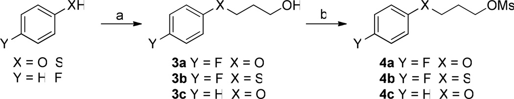  Scheme 3a