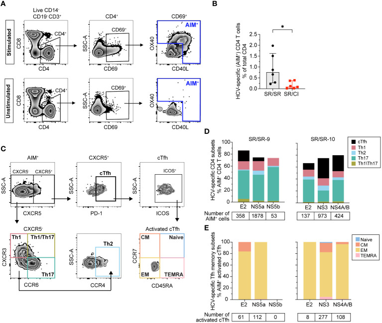 Figure 2