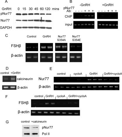 FIG. 8.