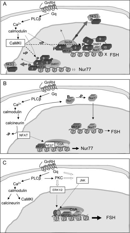 FIG. 9.