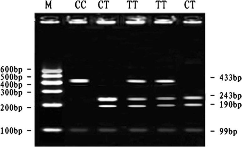 Fig. 5