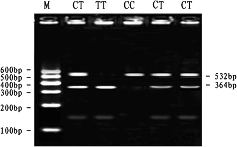 Fig. 4