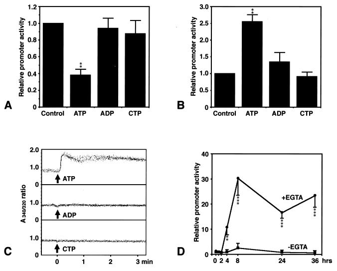 FIG. 9