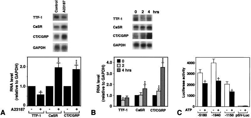 FIG. 8