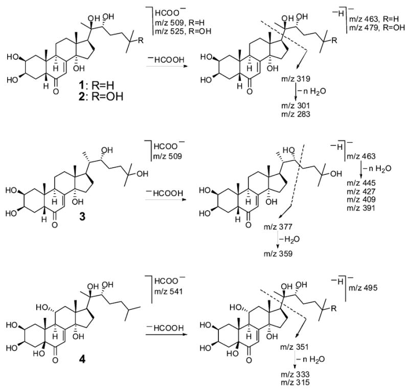 Fig. 5