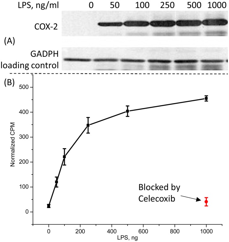 Fig 5