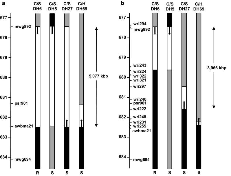 Fig. 2