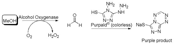 Scheme 2