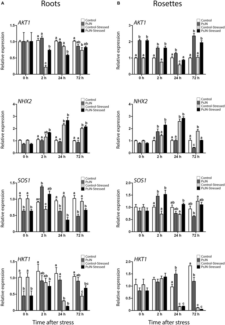 FIGURE 6