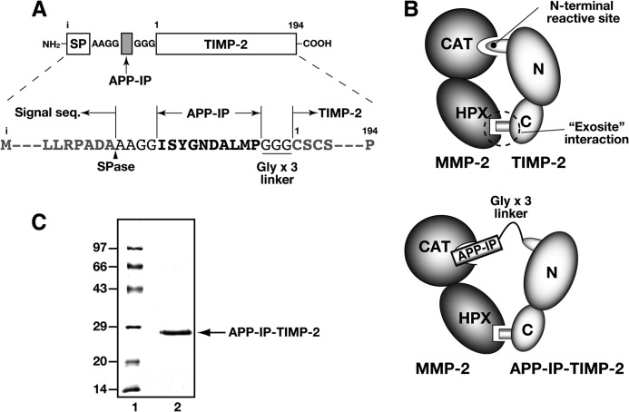 FIGURE 1.