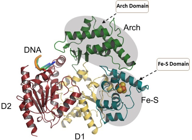 Figure 7