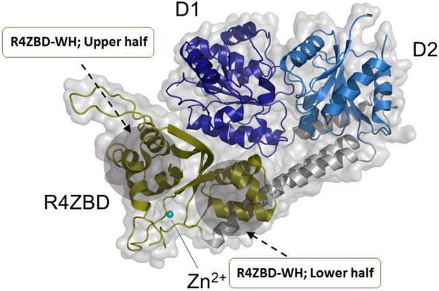 Figure 5