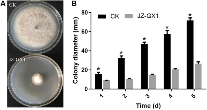 FIGURE 1