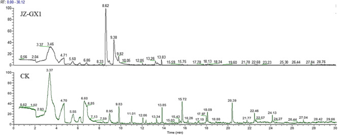 FIGURE 6