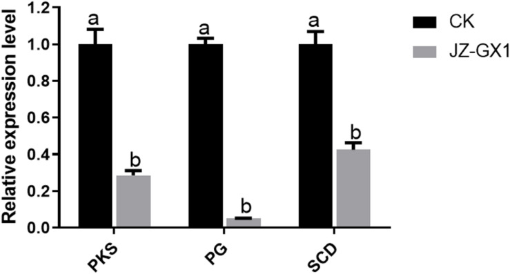 FIGURE 4