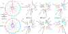 Figure 9: