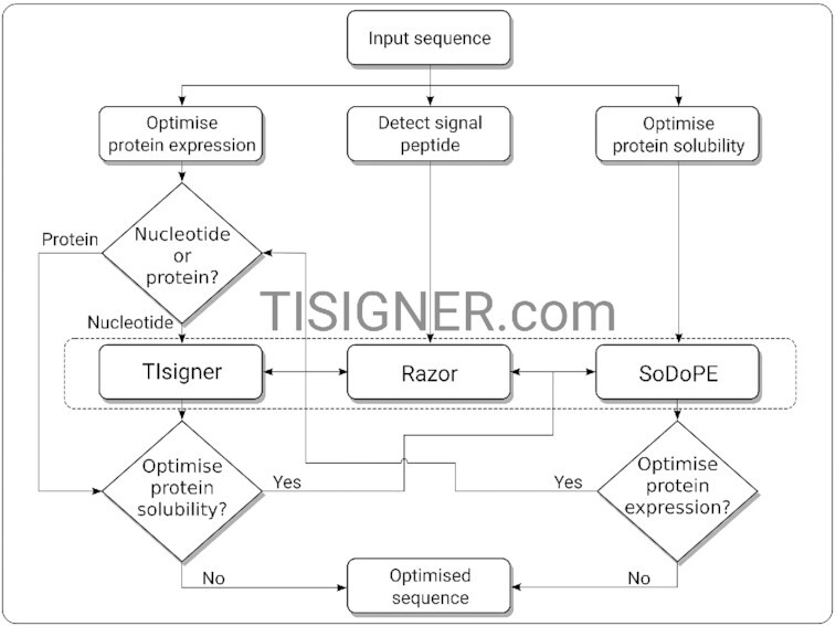 Graphical Abstract