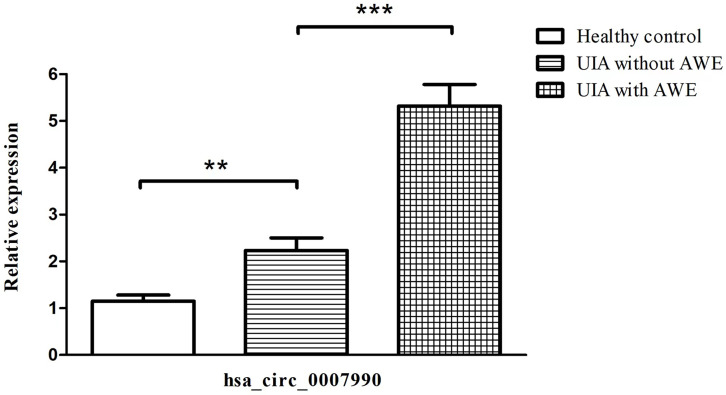 Figure 2