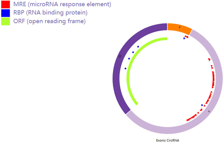 Figure 3