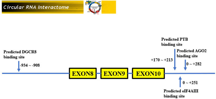 Figure 4