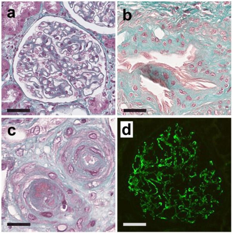 Figure 1: