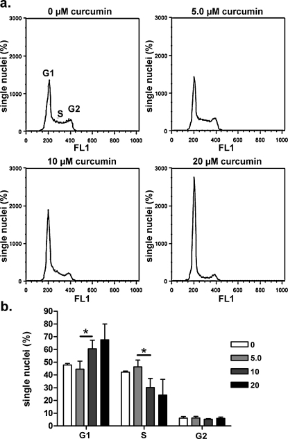 Fig. 10