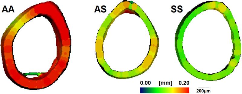 Fig. 3