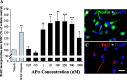 Figure 10.