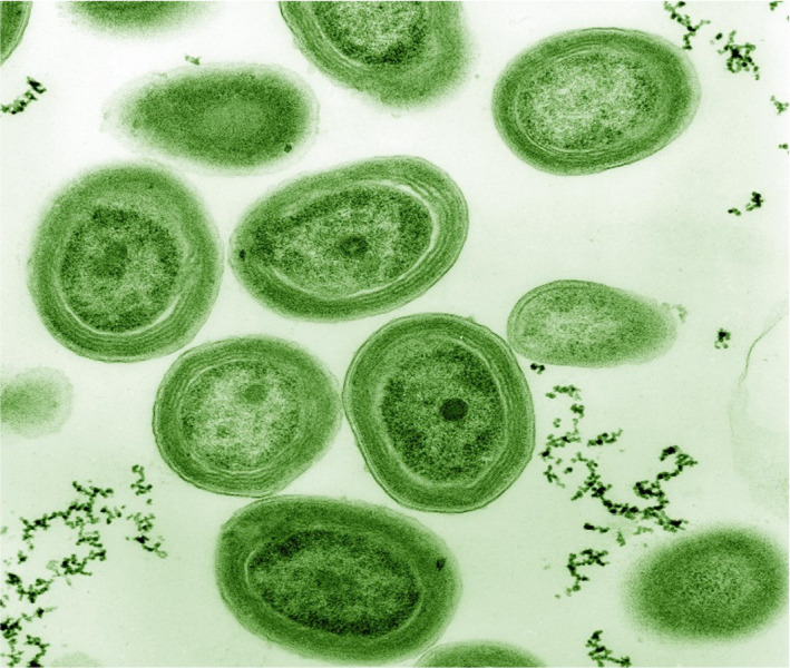 FIGURE 3
