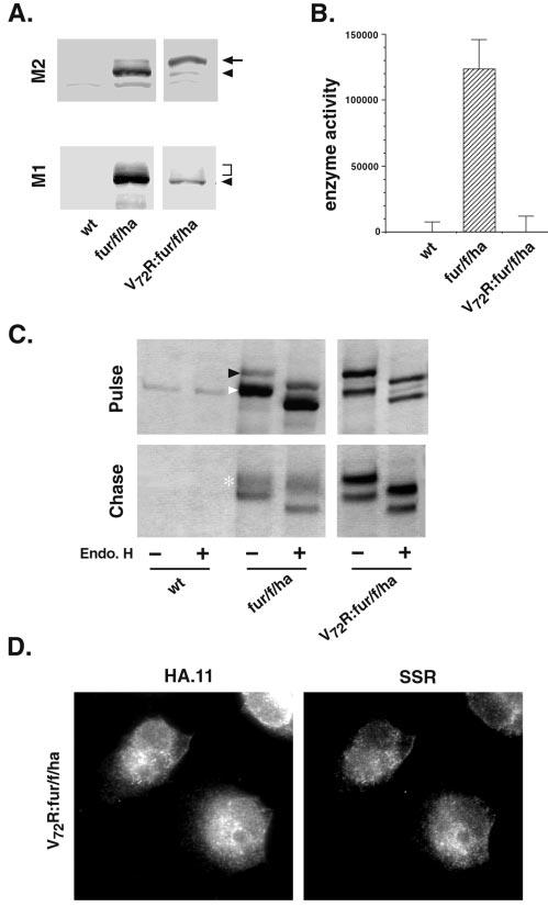 FIG. 8