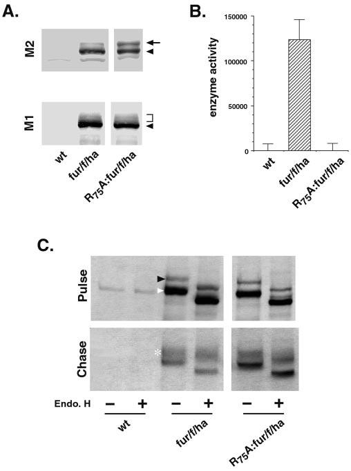 FIG. 6