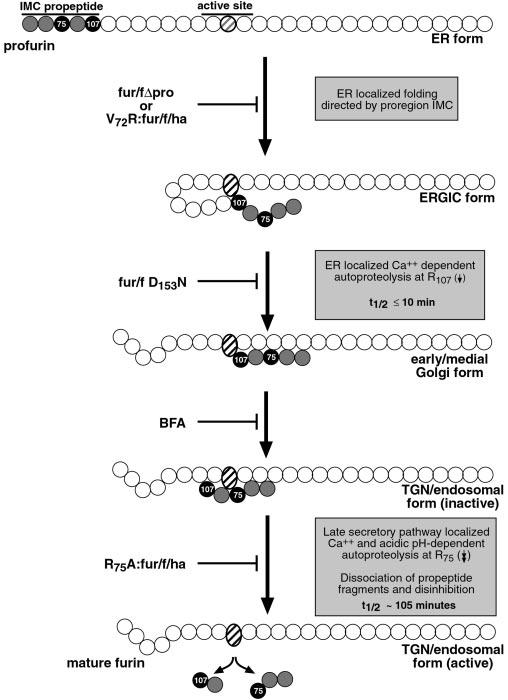 FIG. 10