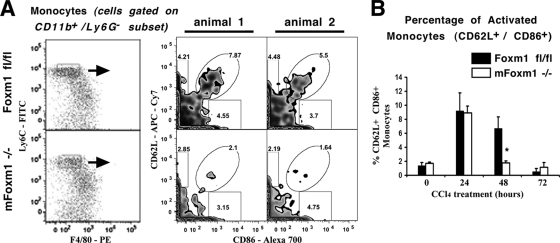 FIG. 6.