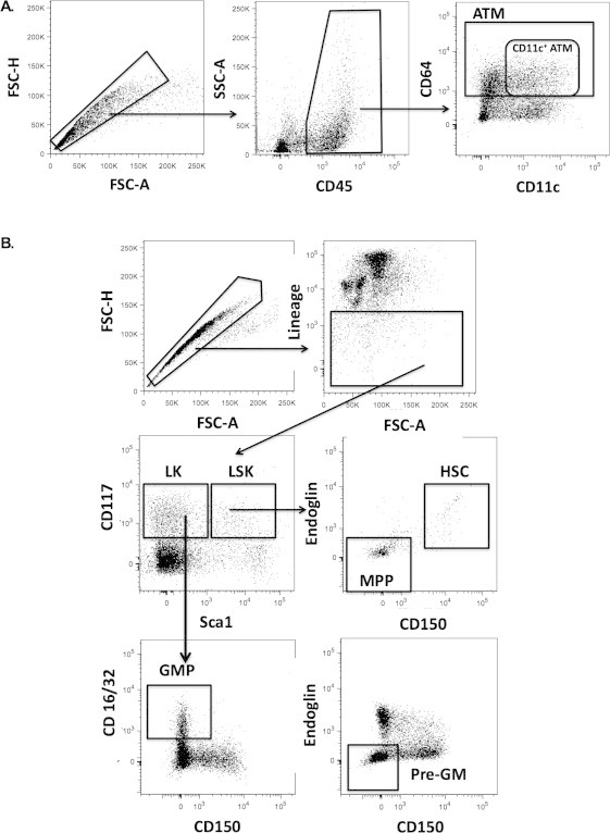 Supplementary Figure 1