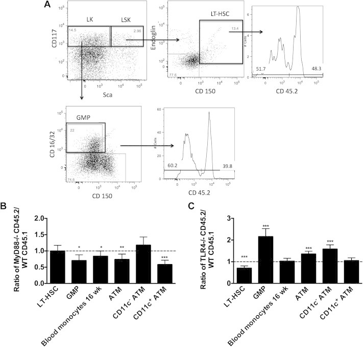 Figure 6