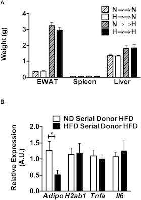 Supplementary Figure 3