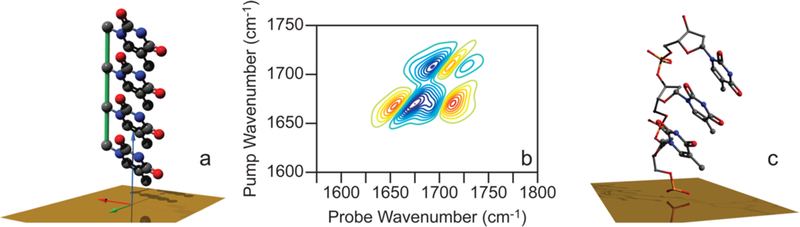 Figure 8.