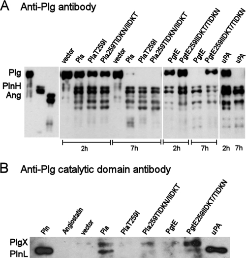 FIG. 5.