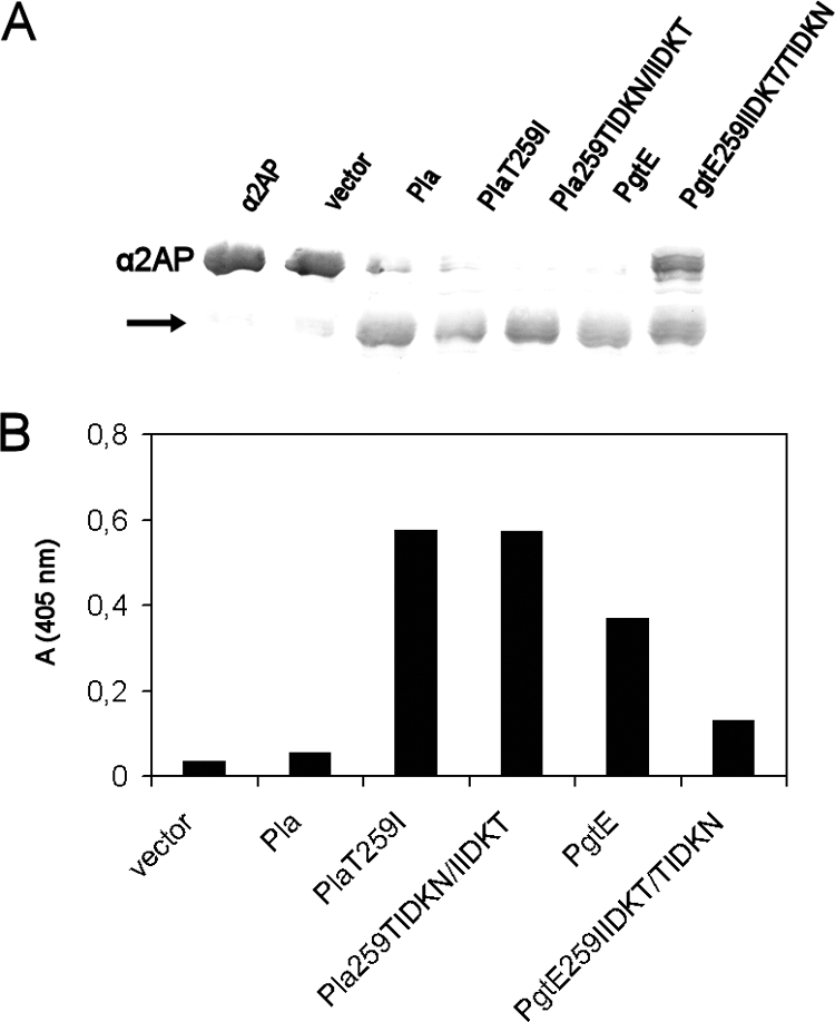 FIG. 6.