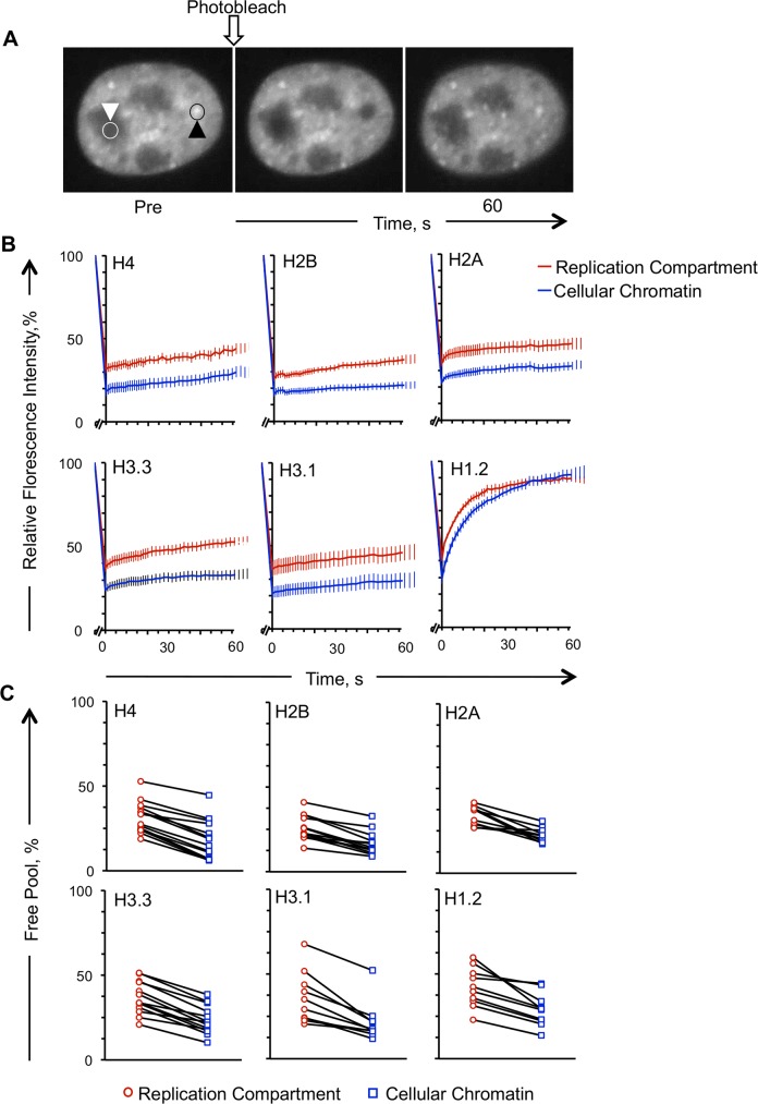 Fig 10