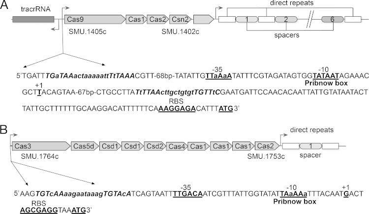 FIG 1