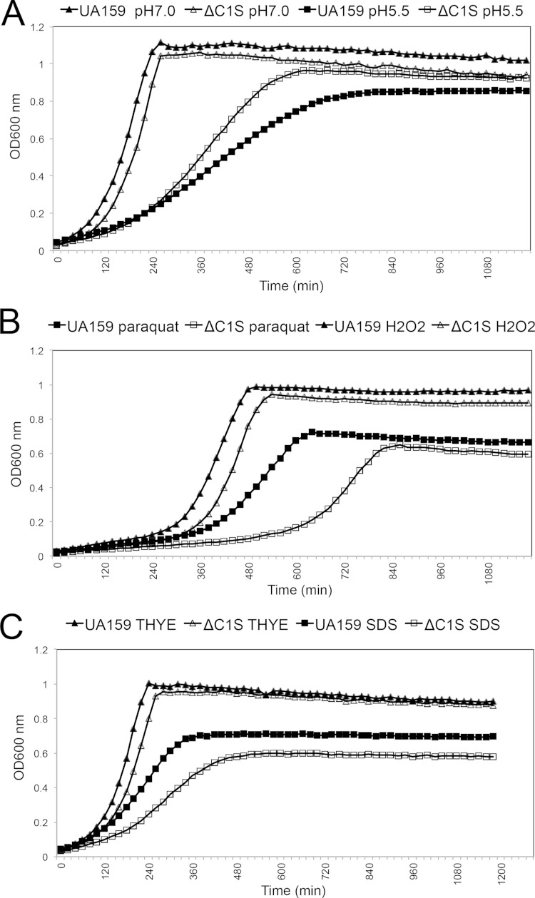 FIG 6