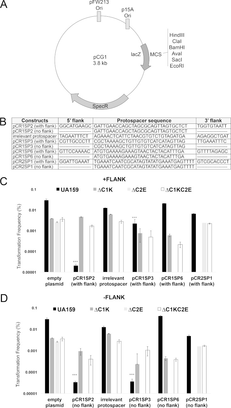 FIG 2