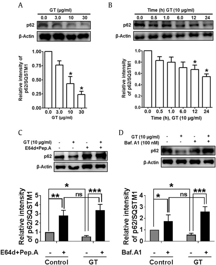 Fig. 7